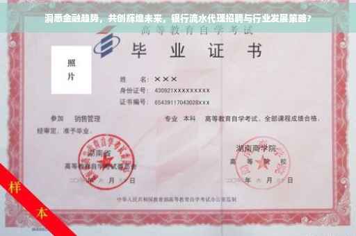 洞悉金融趋势，共创辉煌未来，银行流水代理招聘与行业发展策略?