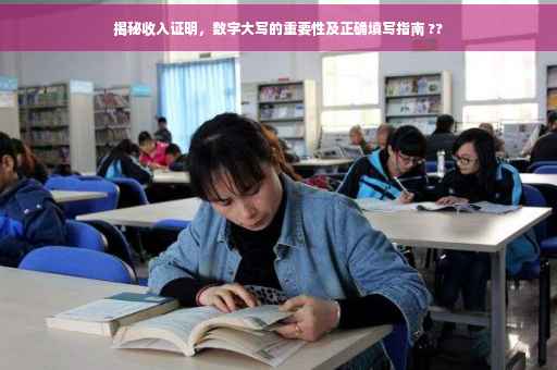 揭秘收入证明，数字大写的重要性及正确填写指南 ??