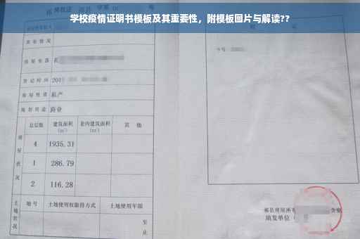 学校疫情证明书模板及其重要性，附模板图片与解读??