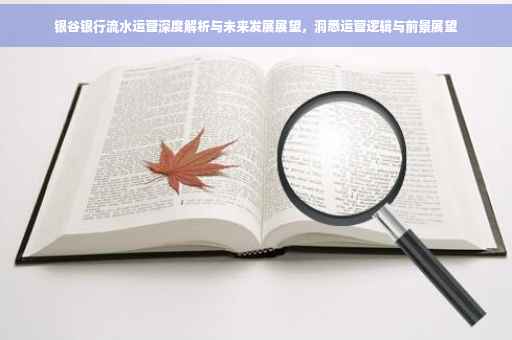 银谷银行流水运营深度解析与未来发展展望，洞悉运营逻辑与前景展望