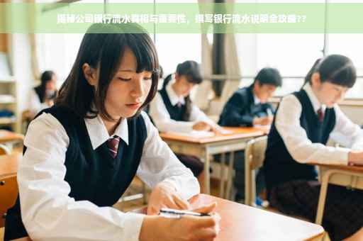 揭秘公司银行流水真相与重要性，撰写银行流水说明全攻略??