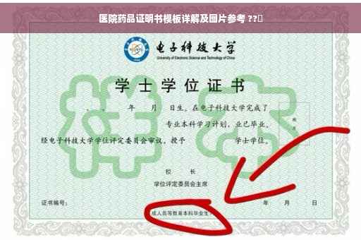 医院药品证明书模板详解及图片参考 ??✨