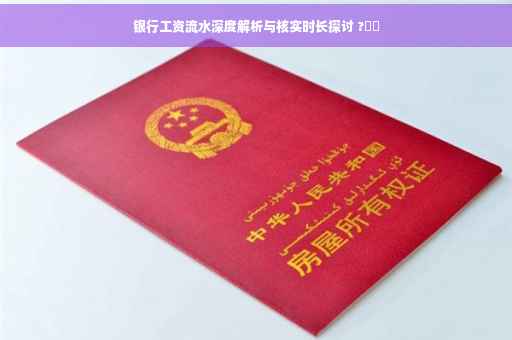 银行工资流水深度解析与核实时长探讨 ?⚡️