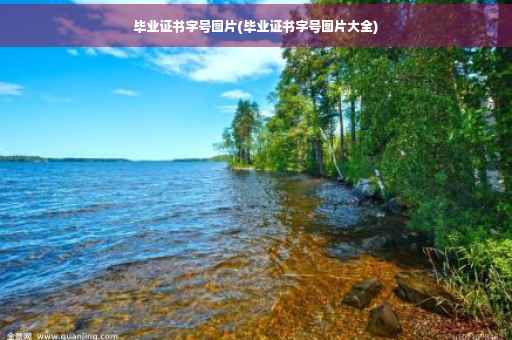 毕业证书字号图片(毕业证书字号图片大全)