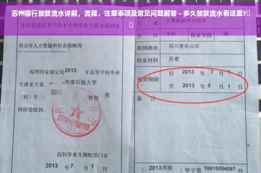 苏州银行放款流水详解，流程、注意事项及常见问题解答 - 多久放款流水看这里?⚡️