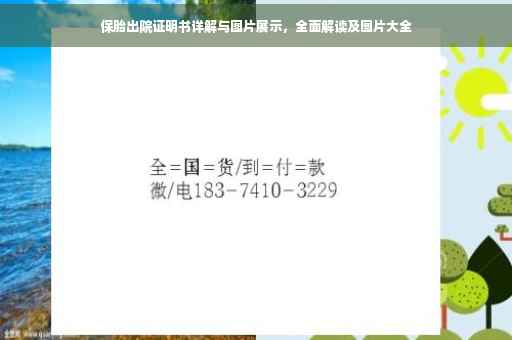 保胎出院证明书详解与图片展示，全面解读及图片大全