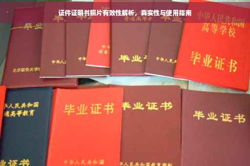 证件证明书照片有效性解析，真实性与使用指南