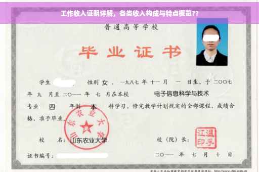 工作收入证明详解，各类收入构成与特点概览??
