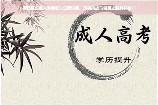 隆阳区低收入家庭收入证明详解，现实挑战与希望之路的开启?✨