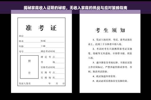 揭秘家庭收入证明的秘密，无收入家庭的挑战与应对策略指南