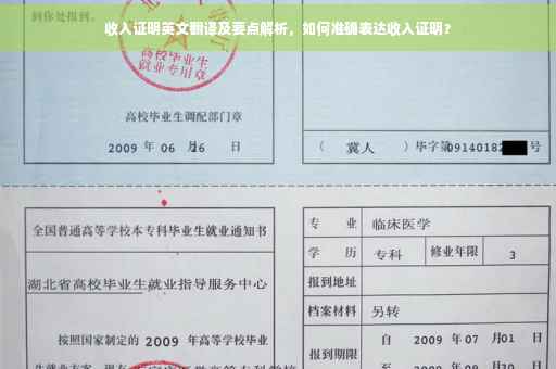 收入证明英文翻译及要点解析，如何准确表达收入证明？