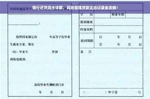 银行还贷流水详解，高效整理贷款支出记录全攻略！
