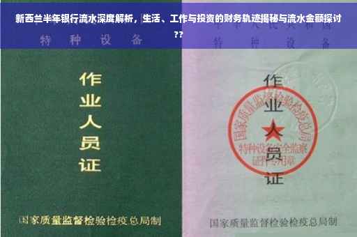 新西兰半年银行流水深度解析，生活、工作与投资的财务轨迹揭秘与流水金额探讨??