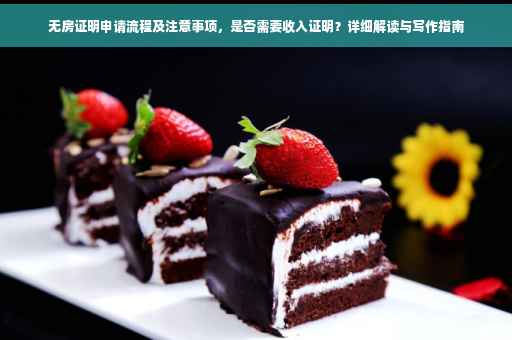 无房证明申请流程及注意事项，是否需要收入证明？详细解读与写作指南
