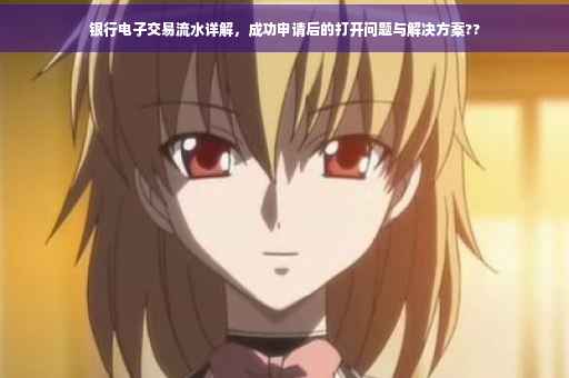 银行电子交易流水详解，成功申请后的打开问题与解决方案??