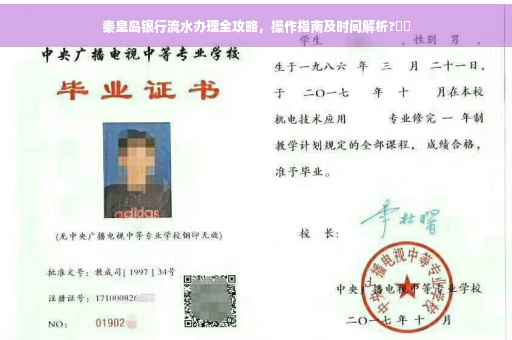 秦皇岛银行流水办理全攻略，操作指南及时间解析?⚡️