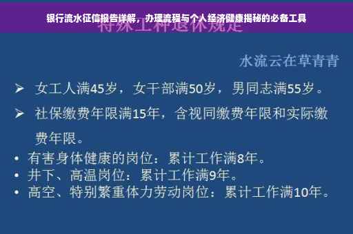 银行流水征信报告详解，办理流程与个人经济健康揭秘的必备工具