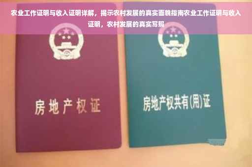 农业工作证明与收入证明详解，揭示农村发展的真实面貌指南农业工作证明与收入证明，农村发展的真实写照
