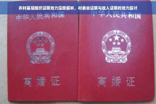 农村基层组织证明效力深度解析，村委会证明与收入证明的效力探讨