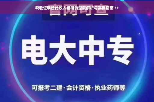 税收证明替代收入证明的深度解析与实用指南 ??