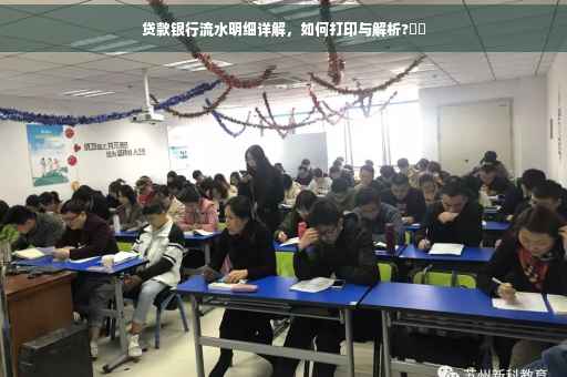 贷款银行流水明细详解，如何打印与解析?⚡️