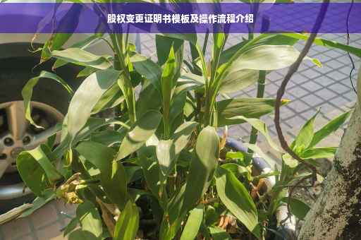股权变更证明书模板及操作流程介绍