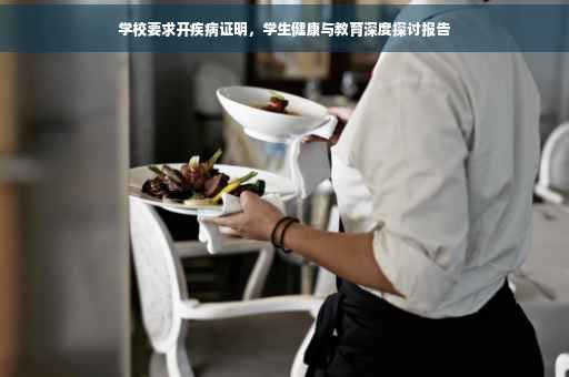 学校要求开疾病证明，学生健康与教育深度探讨报告