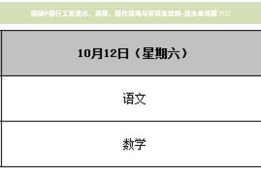 揭秘P银行工资流水，真相、操作指南与答疑全攻略-流水单详解 ?⚡️
