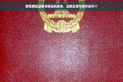 醉驾释放证明书背后的故事，深度反思与警示启示??