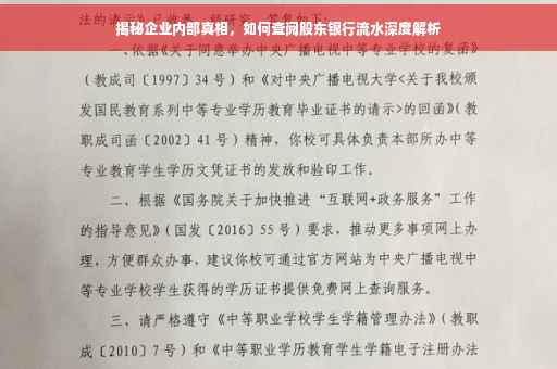 揭秘企业内部真相，如何查阅股东银行流水深度解析