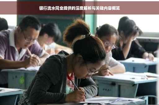 银行流水同业提供的深度解析与关键内容概览