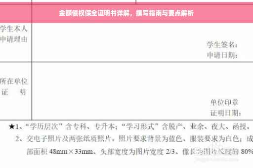 金额债权保全证明书详解，撰写指南与要点解析