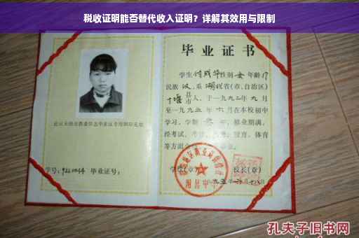 税收证明能否替代收入证明？详解其效用与限制