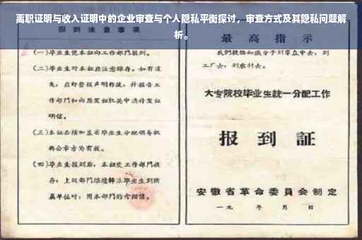 离职证明与收入证明中的企业审查与个人隐私平衡探讨，审查方式及其隐私问题解析。