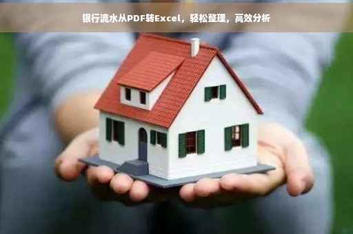 银行流水从PDF转Excel，轻松整理，高效分析