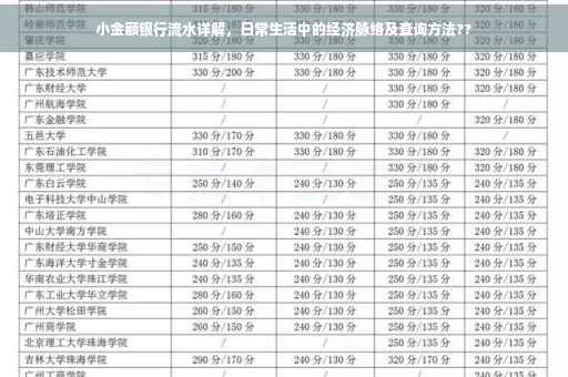 小金额银行流水详解，日常生活中的经济脉络及查询方法??