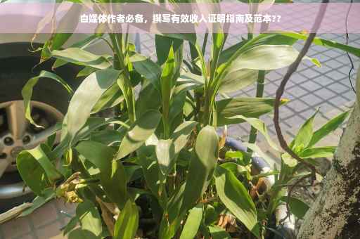 自媒体作者必备，撰写有效收入证明指南及范本??