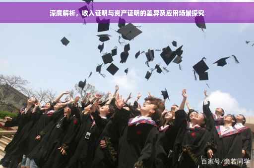 深度解析，收入证明与资产证明的差异及应用场景探究