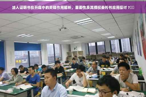 法人证明书在开庭中的关键作用解析，重要性及其授权委托书应用探讨 ?⚡️
