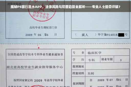 揭秘PS银行流水APP，法律风险与犯罪陷阱全解析——专业人士能否识破？