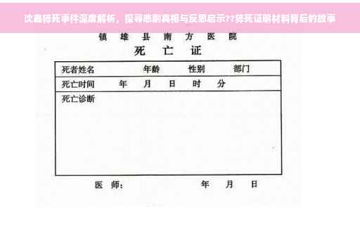 沈鑫猝死事件深度解析，探寻悲剧真相与反思启示??猝死证明材料背后的故事