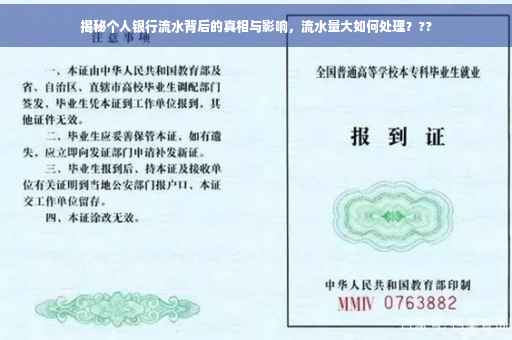揭秘个人银行流水背后的真相与影响，流水量大如何处理？??