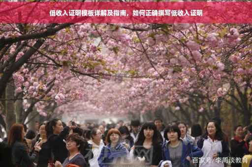 低收入证明模板详解及指南，如何正确撰写低收入证明