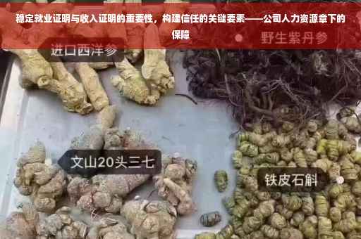 稳定就业证明与收入证明的重要性，构建信任的关键要素——公司人力资源章下的保障