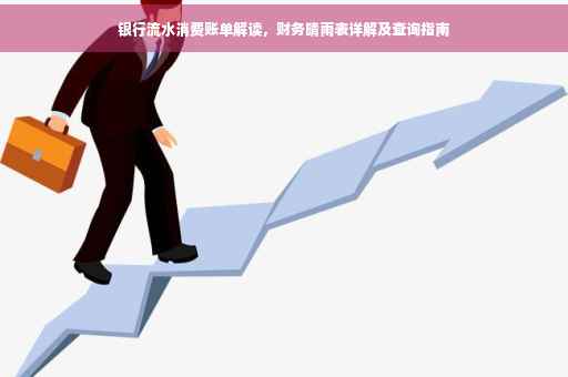 银行流水消费账单解读，财务晴雨表详解及查询指南