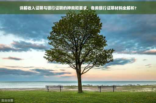 详解收入证明与银行证明的种类和要求，各类银行证明材料全解析?