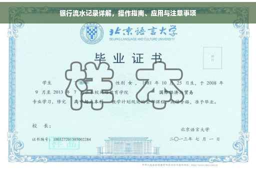 银行流水记录详解，操作指南、应用与注意事项