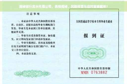 揭秘银行流水代理公司，真相揭秘、风险预警与应对策略解析?