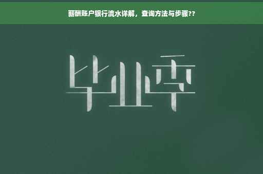 薪酬账户银行流水详解，查询方法与步骤??