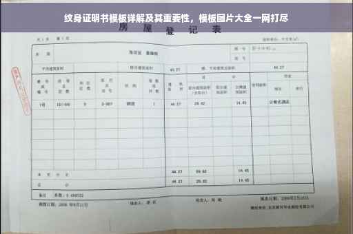 纹身证明书模板详解及其重要性，模板图片大全一网打尽